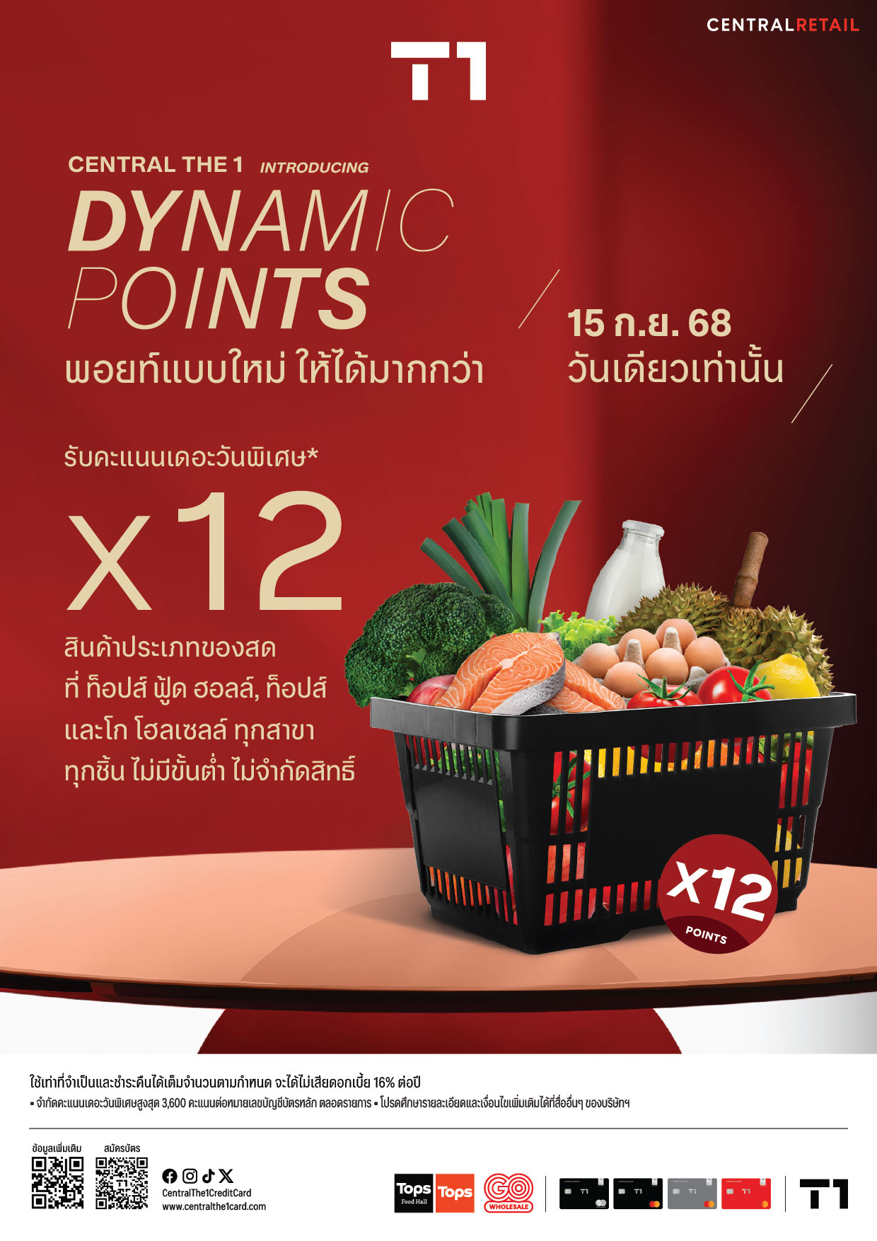 T1-DynamicPoint-x12